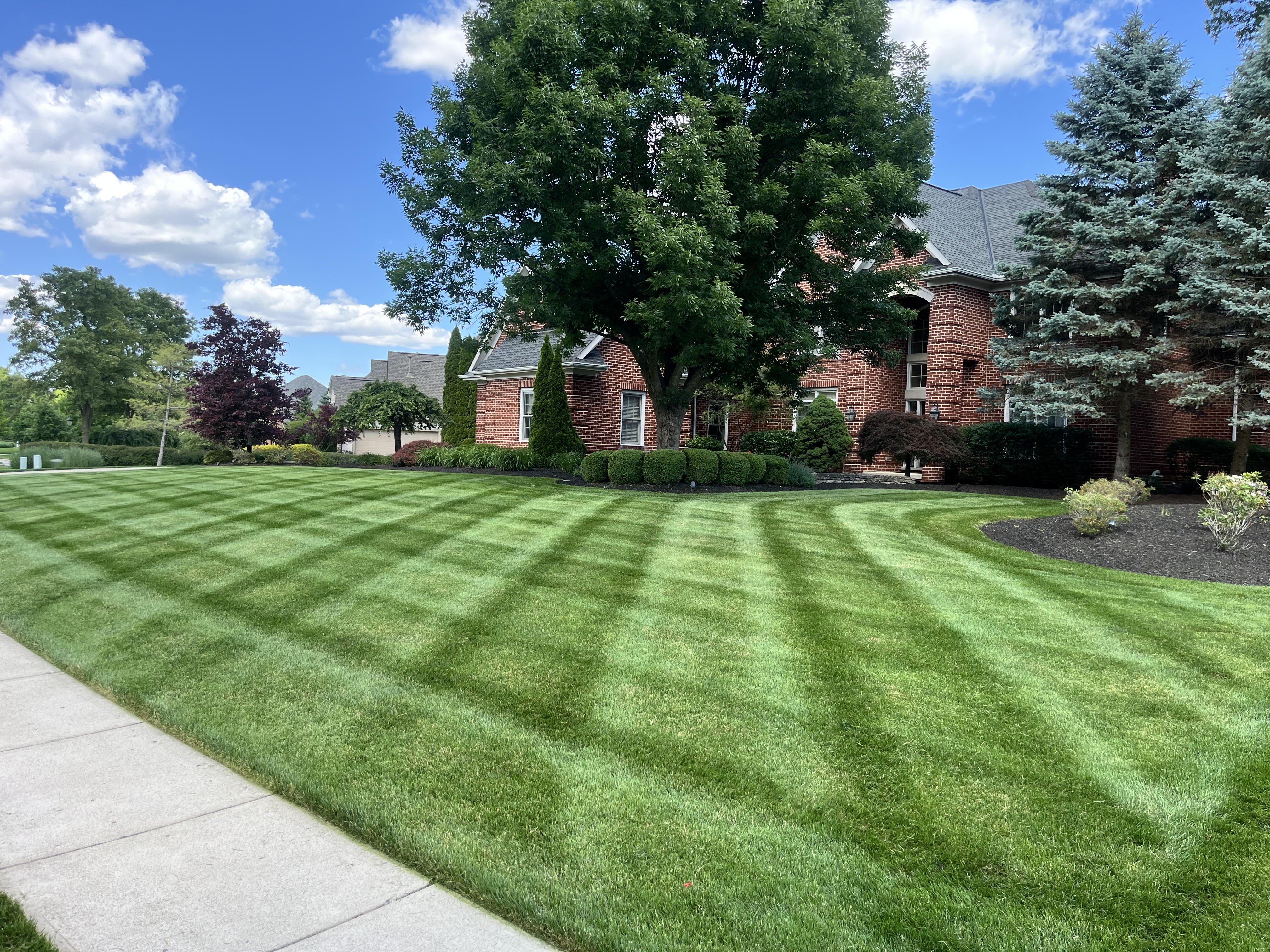 Full Service Residential Lawn Care